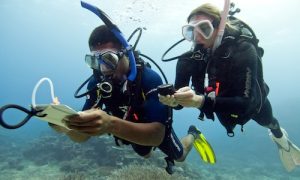 PADI Adventure Diver - Primer paso a buceador avanzado