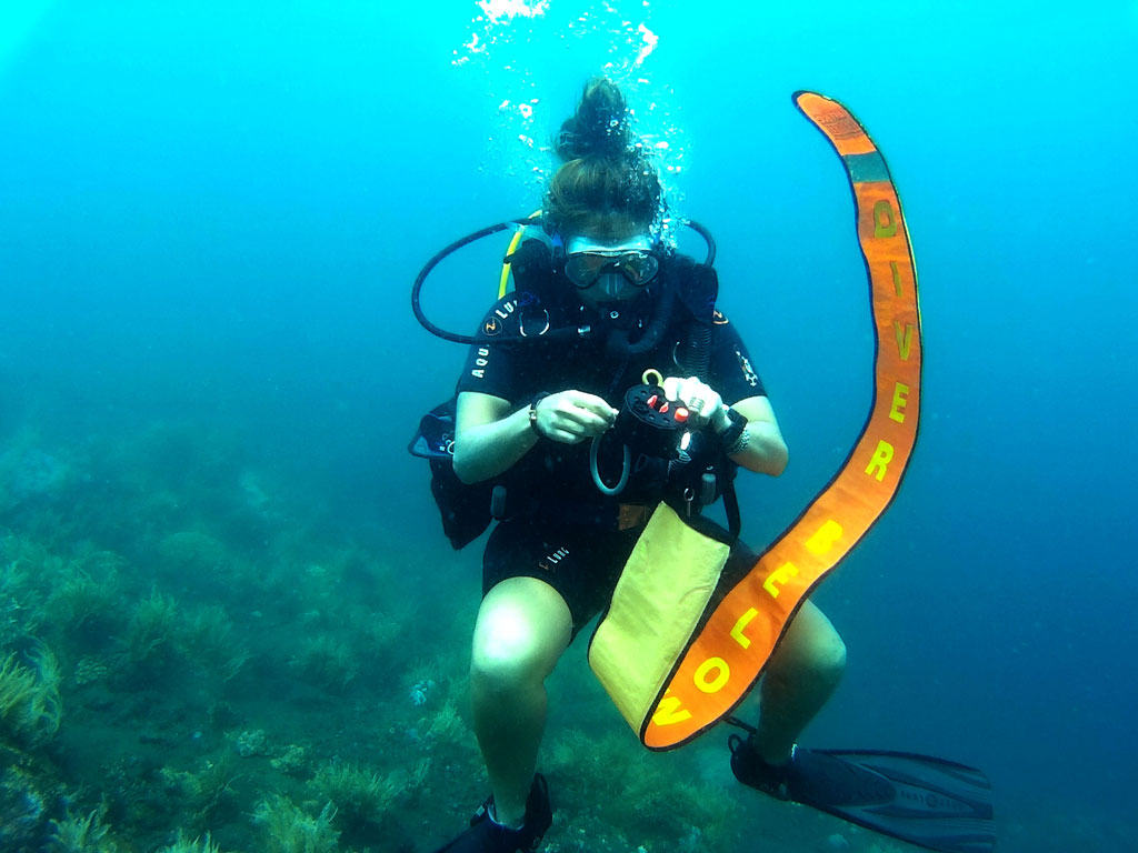 Banderas De Buceo | Mercado Libre